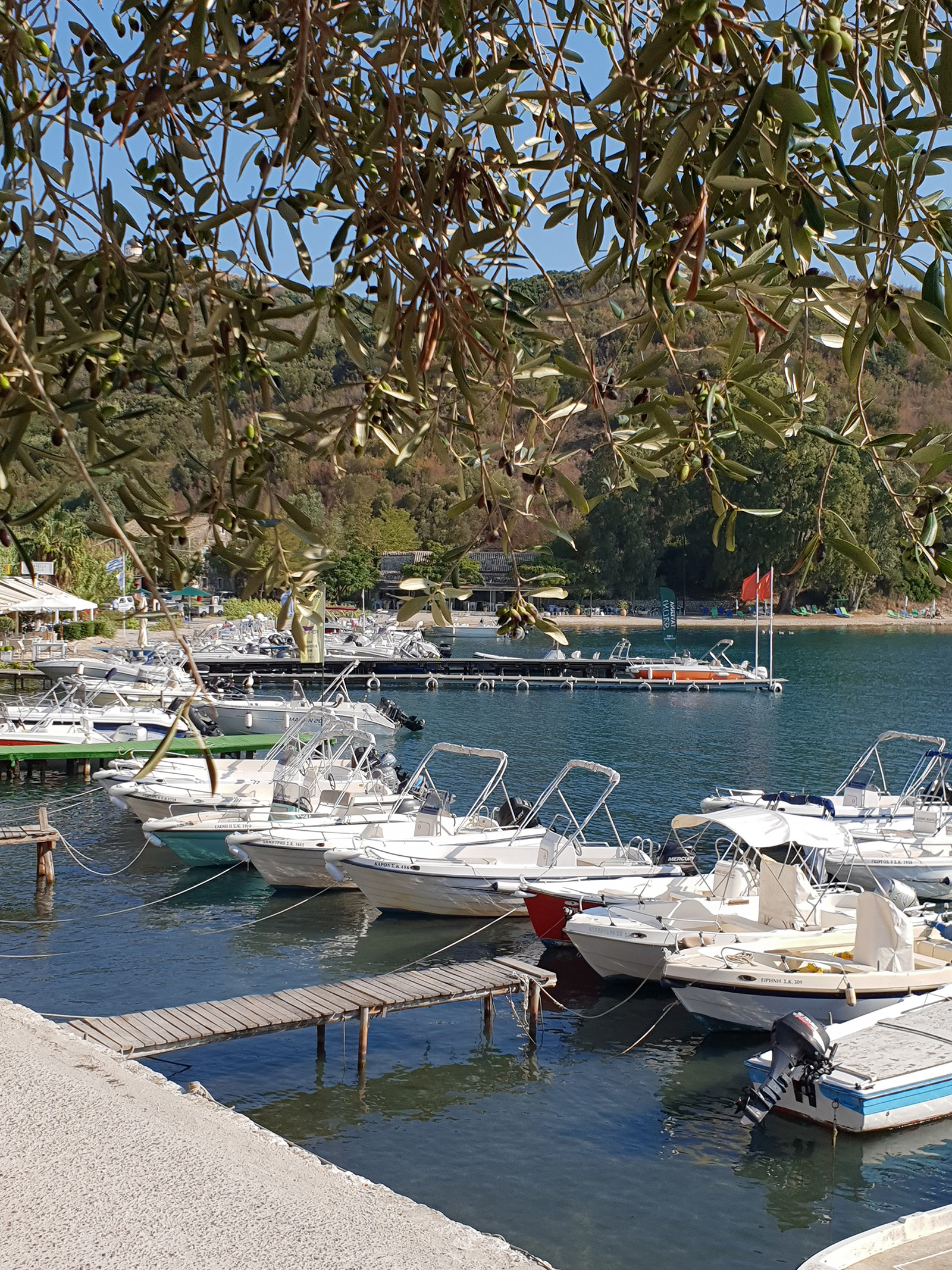 View across to Taverna Eucalytus